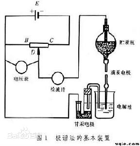 樱花草在线社区www韩国