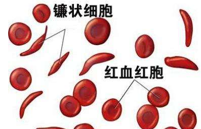 人体樱花草在线社区www韩国厂家介绍检测微量元素的仪器